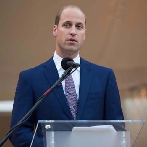 prince william hairstyles for men with receding hairlines