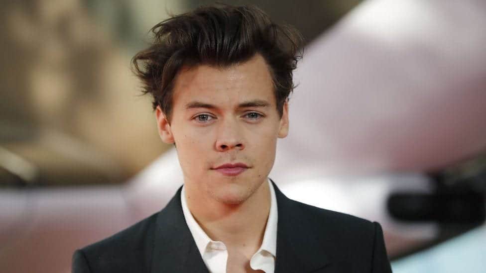 45 Most Popular Harry Styles Haircuts to Try in 2022