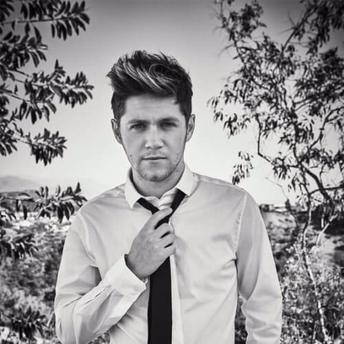 Niall's photoshoot Flamingos Notion Magazine mens hairstyles for oval faces