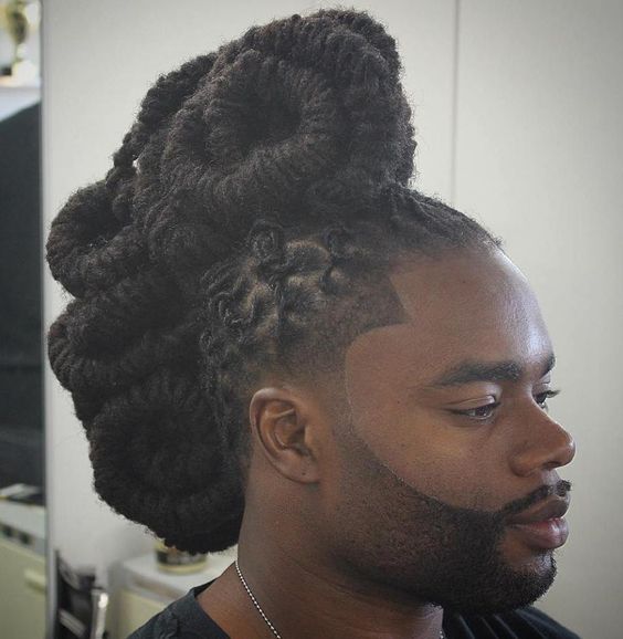 Sculpted Braids with afro hair