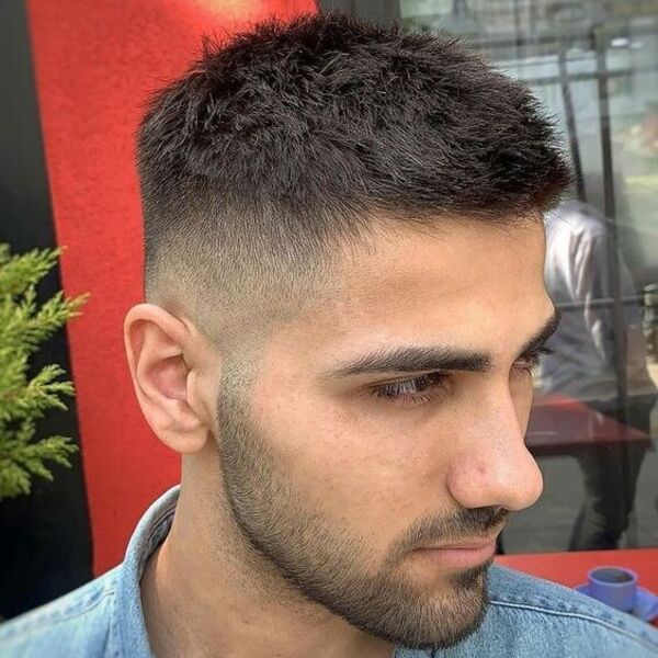 Classic Crew Cut Style - a man had his Classic Crew Cut Style with beard