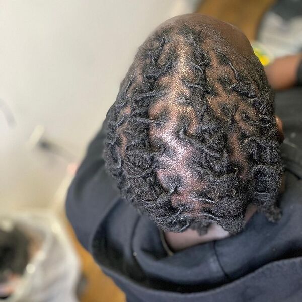 Free-form Locs hairstyle - a black had his free form locs